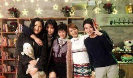 欢乐颂3在线观看,续写都市女性的奋斗传奇