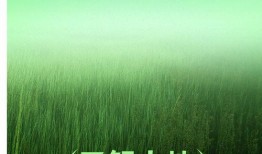 风景最新爆料文案图片素材,风景最新爆料，视觉盛宴抢先看